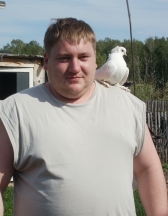 �������� �